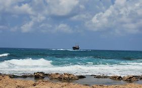 Coral View